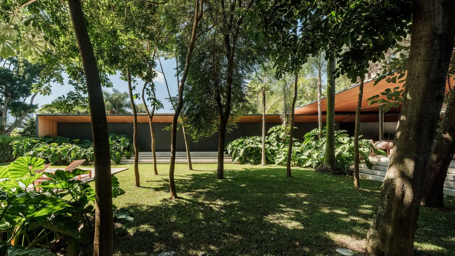 Low timber-roofed house set in a tropical garden among slender trees